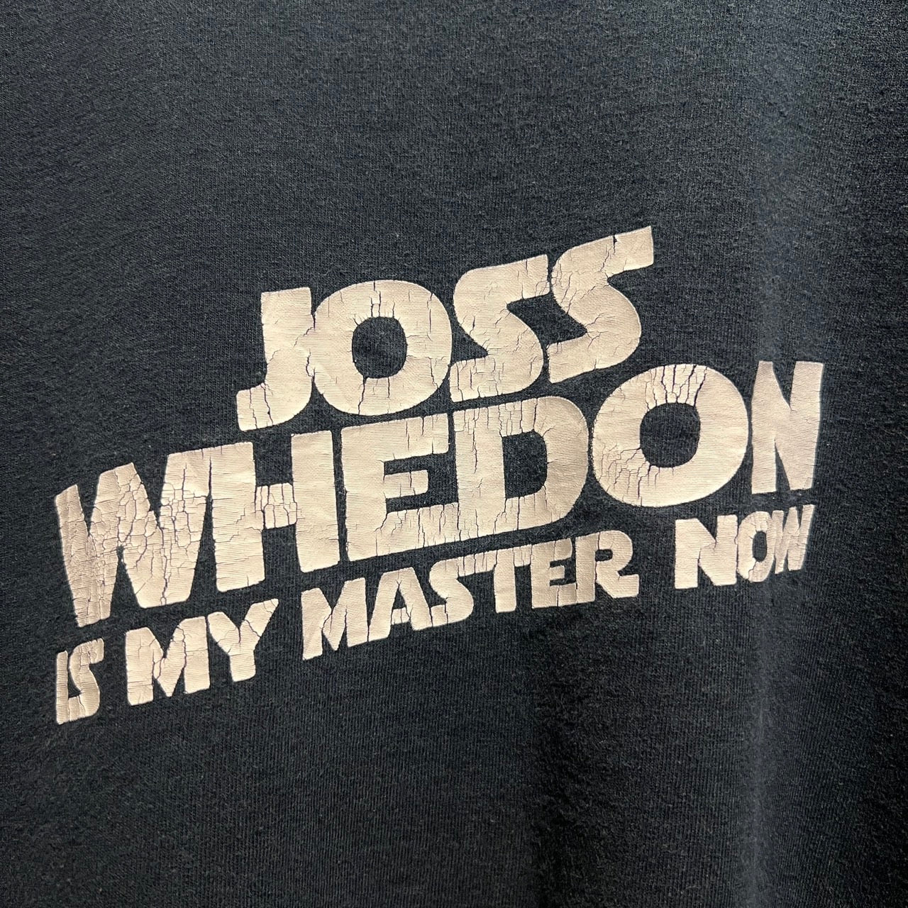00’s~ トイストーリー 脚本家 Joss Whedon T